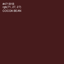#471B1B - Cocoa Bean Color Image